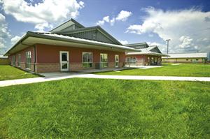 San Antonio Animal Shelters- Guide to choosing shelter dogs.