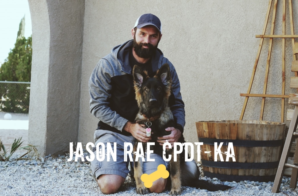 Jason Rae Certified Profesional Dog Trainer
