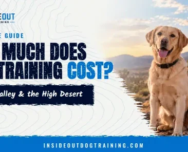 Dog training cost in Apple Valley and the High Desert: 2026 price guide from InsideOut Dog Training