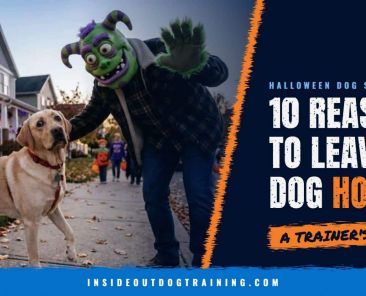 Dog trick-or-treating: a worried yellow Lab and a person in a monster mask, 10 reasons to leave your dog home
