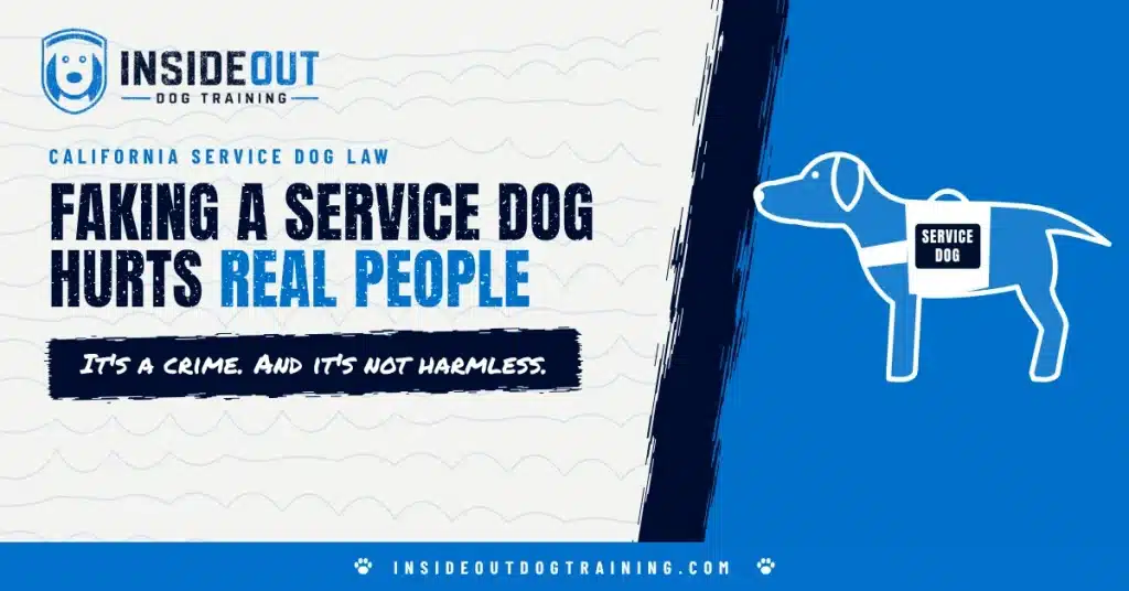 Fake service dog in California: outline of a Labrador in a service dog vest with the headline Faking a service dog hurts real people