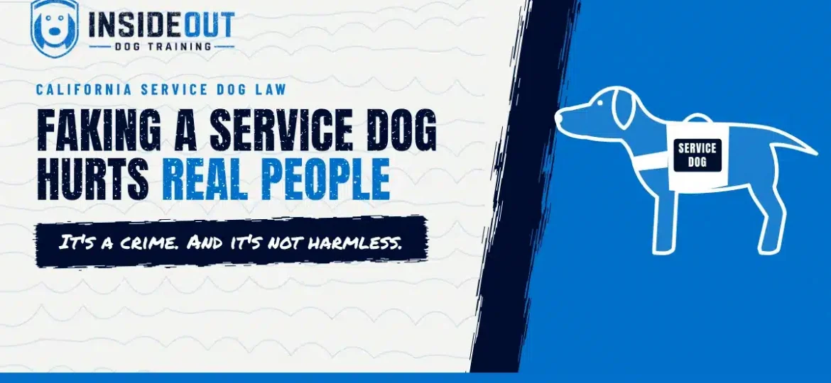 Fake service dog in California: outline of a Labrador in a service dog vest with the headline Faking a service dog hurts real people