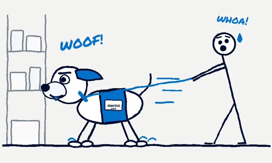 Cartoon of an untrained dog in a fake service dog vest pulling its owner through a store